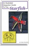 An Illustrated Dissection Guide To The Starfish cover