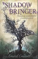 Shadow Bringer cover