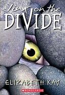 Jinx on the Divide cover