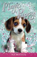 The Perfect Secret cover