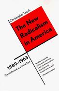 The New Radicalism in America 1889-1963 The Intellectual As a Social Type cover