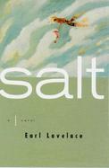 Salt A Novel cover