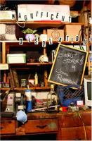 Magnificent Desolation cover