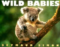 Wild Babies cover