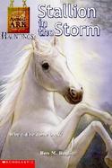 Stallion in the Storm cover