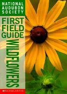 Wildflowers cover