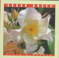 Shrub Roses cover