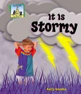 It Is Stormy cover