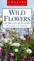 Wild Flowers cover