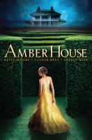 Amber House cover