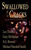 Swallowed by the Cracks : Sixteen Stories of the Spaces Between cover