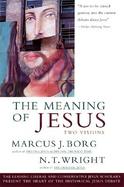 The Meaning of Jesus Two Visions cover