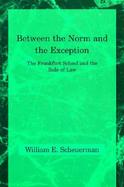 Between the Norm and the Exception The Frankfurt School and the Rule of Law cover