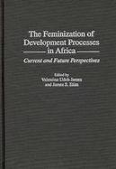 The Feminization of Development Processes in Africa Current and Future Perspectives cover