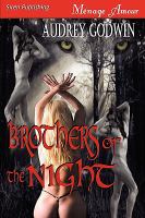 Brothers of the Night cover