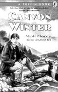 Canyon Winter cover