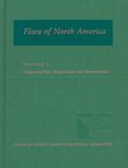 Flora of North America North of Mexico Magnoliophyta  Magnoliidae and Hamamelidae (volume3) cover