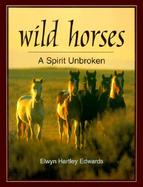 Wild Horses A Spirit Unbroken cover
