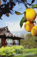 The Summer We Fell Apart cover