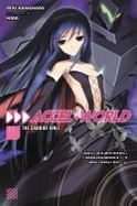 Accel World, Vol. 11 cover