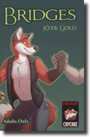 Bridges : Bridges cover