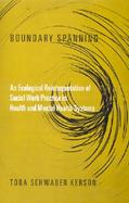 Boundary Spanning An Ecological Reinterpretation of Social Work Practice in Health and Mental Health Systems cover