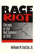 Race Riot Chicago in the Red Summer of 1919 cover