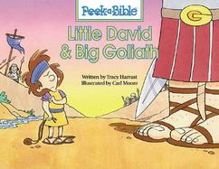 Little David and Big Goliath cover