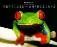 Reptiles and Amphibians cover