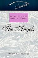 The Angels Spiritual and Exegetical Notes cover