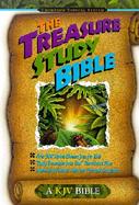 Treasure Study Bible cover