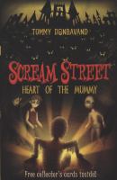 Heart of the Mummy 3 (Scream Street) cover