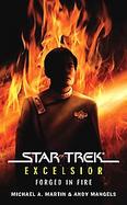 Star Trek Excelsior cover