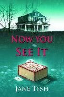 Now You See It : A Grace Street Mystery cover