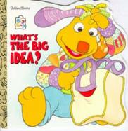 What's the Big Idea? cover