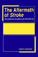 The Aftermath of Stroke The Experience of Patients and Their Families cover