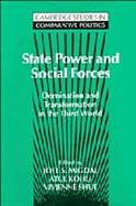 State Power and Social Forces Domination and Transformation in the Third World cover