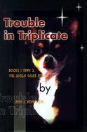 Trouble in Triplicate Books 1 Thru 3, the Sheila Casey Mysteries cover