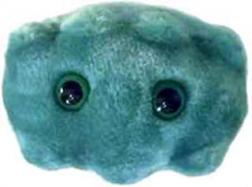 GiantMicrobes-Bad Breath cover