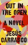 Out in the Open : A Novel cover