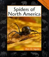 Spiders of North America cover