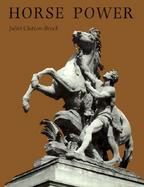 Horse Power: A History of the Horse and the Donkey in Human Societies cover