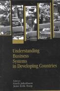 Understanding Business Systems in Developing Countries cover