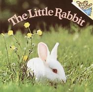 The Little Rabbit cover