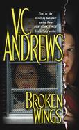 Broken Wings cover