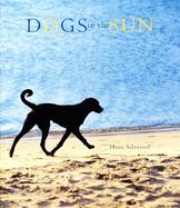 Dogs in the Sun cover