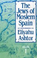 Jews of Moslem Spain (volume1) cover