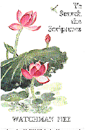 Ye Search the Scriptures cover