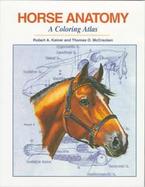 Horse Anatomy: A Coloring Atlas cover