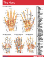 The Hand Chart-Single Panel Chart cover
